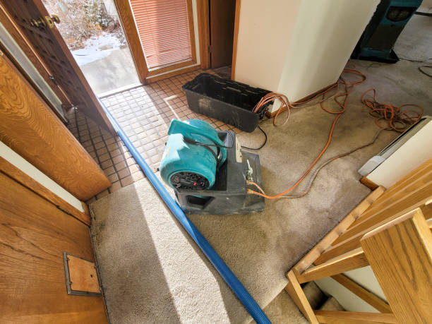 Best Mold removal after water damage  in Wakefield, KS