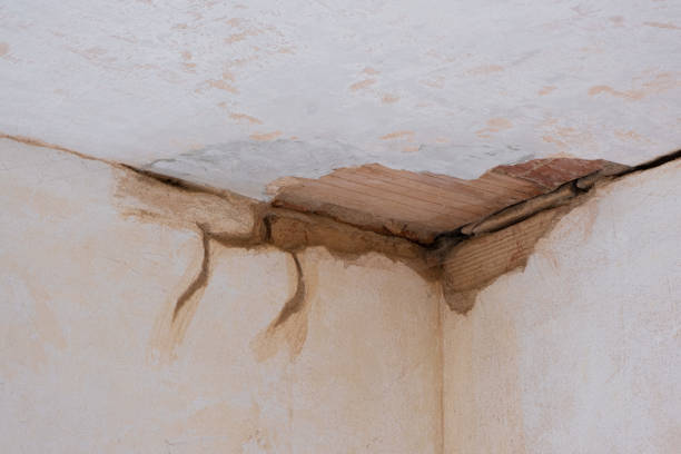 Best Professional water damage repair  in Wakefield, KS