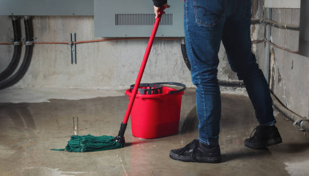 Best Flood damage cleanup  in Wakefield, KS