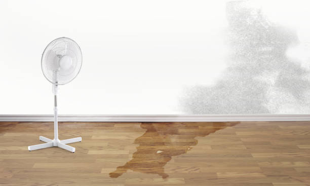 Reliable Wakefield, KS Water damage restoration Solutions