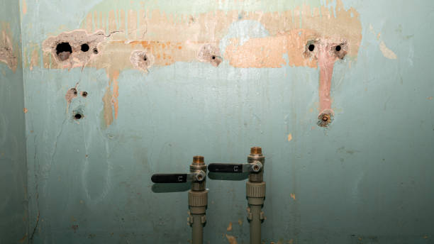 Best Residential water damage restoration  in Wakefield, KS