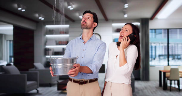 Best Water damage contractors near me  in Wakefield, KS