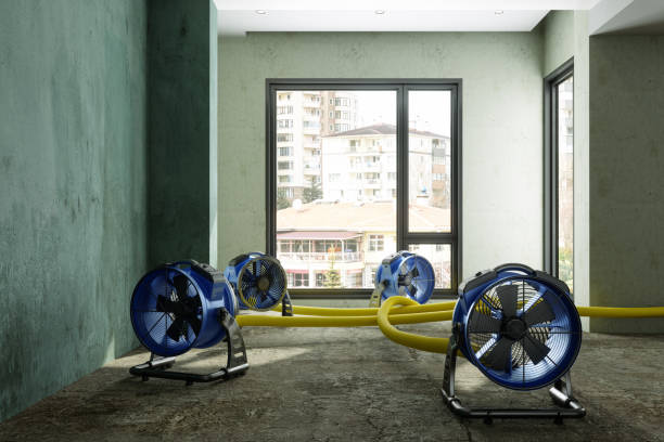 Best Water damage restoration insurance claims  in Wakefield, KS