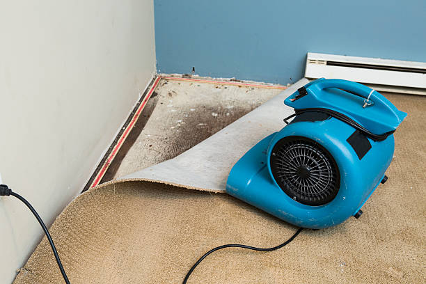 Best Water damage contractors near me  in Wakefield, KS
